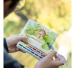 Acquerelli On the Go - DOM - conf. 12 pezzi + pennello + tavolozza