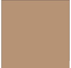 Cartine antigrasso per alimenti - 20 x 32,5 cm - avana - Leone - conf. 500 pezzi