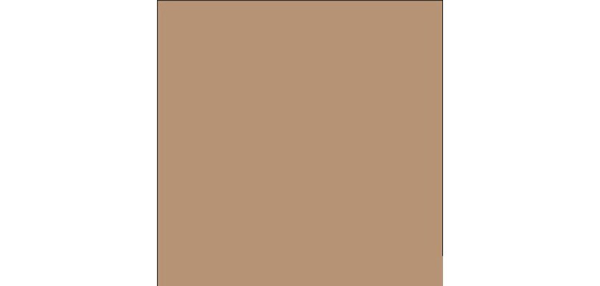 Cartine antigrasso per alimenti - 20 x 32,5 cm - avana - Leone - conf. 500 pezzi