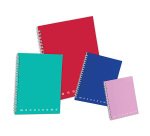 Quaderno Monocromo - A5 - 70 fogli - 80 gr - s/fori - spiralato - 1 rigo - Pigna