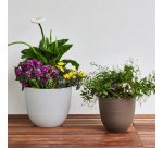 Vaso Over - 85 L - verde foresta - TeraPlast