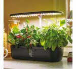 Orto idroponico indoor - 20 x 18 x 40 cm - Verdemax