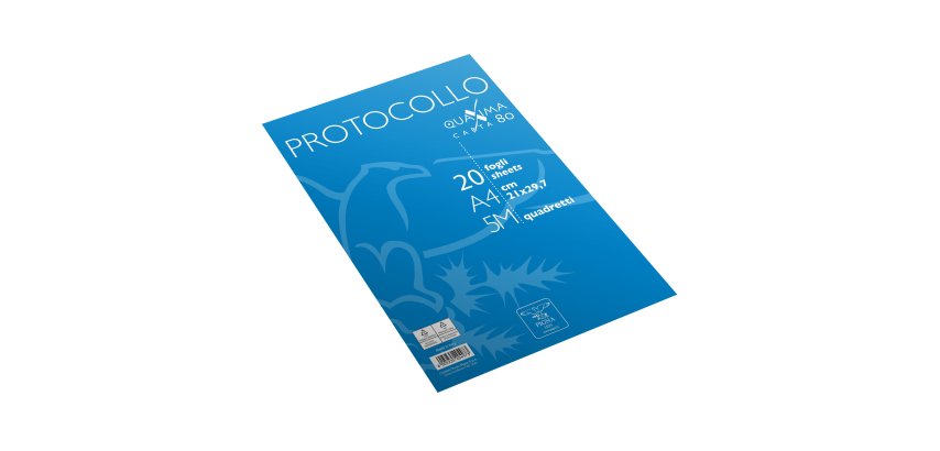 Fogli protocollo Quaxima - A4 - 5 mm - 80 gr - Pigna - conf. 20 pezzi