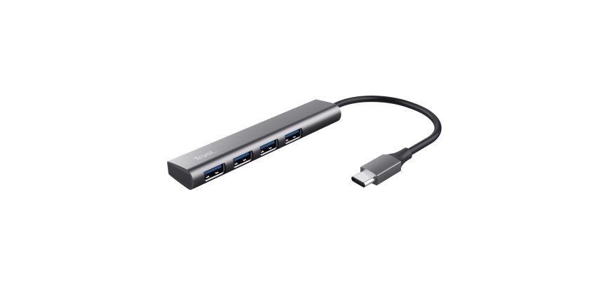 Trust Halyx USB 3.2 Gen 1 (3.1 Gen 1) Type-A 5 Mbit/s Grey