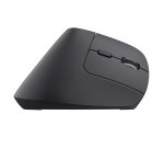 Trust Bayo+ mouse Office Right-hand RF Wireless + Bluetooth Optical 2400 DPI
