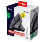 Trust Bayo+ mouse Office Right-hand RF Wireless + Bluetooth Optical 2400 DPI