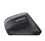 Trust Bayo II mouse Medical Right-hand RF Wireless Optical 2400 DPI