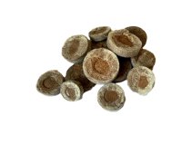 Pastiglia in torba - diametro 3,6 cm - Cwr - conf. 36 pezzi