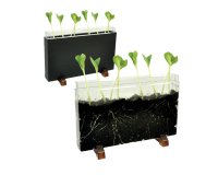 Contenitore Esplora il sottosuolo - 30 x 19 x 4 cm - Cwr