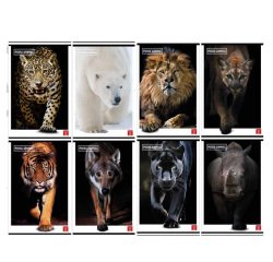 Maxiquaderno Animal - A4 - 4 mm - c/margine - 42 fogli - 80 gr - Pigna