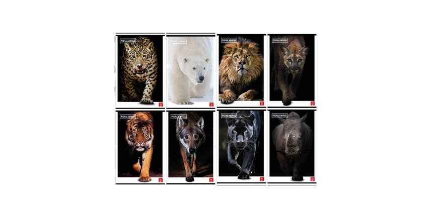 Maxiquaderno Animal - A4 - 4 mm c/margine - 42 fogli - 80 gr - Pigna