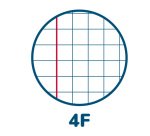 Maxiquaderno Cuccioli - A4 - 4 mm c/margine - 42 fogli - 80 gr - Pigna