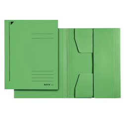 Cartellina 3 lembi - 430 gr - 24,3 x 34 cm - verde - Leitz