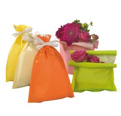 Busta regalo Spring - 20 x 32 cm - 45 gr - carta - 5 colori assortiti - PNP - conf. 50 pezzi