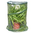 Serra Pop-up Anthurium - 70 x 100 cm - trasparente - Verdemax