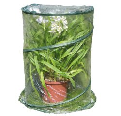 Serra Pop-up Anthurium - 70 x 100 cm - trasparente - Verdemax