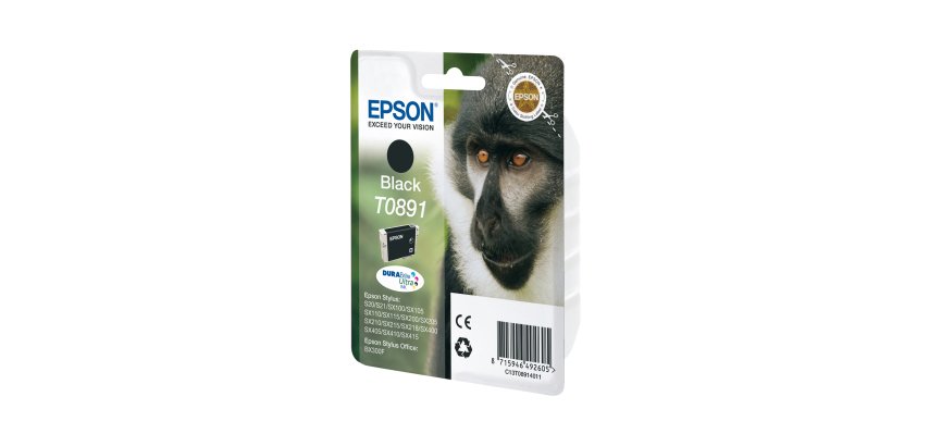 Epson - Cartuccia ink - Nero - T0891 - C13T08914011 - 5,8ml