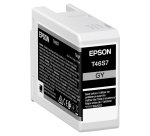 Epson - Cartuccia UltraChrome Pro 10 - Grigio scuro - C13T46S700 - 25 ml