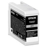 Epson UltraChrome Pro ink cartridge 1 pc(s) Original Grey