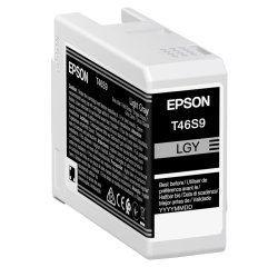 Epson - Cartuccia UltraChrome Pro 10 - Grigio - C13T46S900 - 25 ml