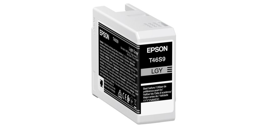 Epson - Cartuccia UltraChrome Pro 10 - Grigio - C13T46S900 - 25 ml