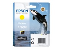 Epson - Cartuccia ink - Giallo - T7604 - C13T76044010 - 25,9ml