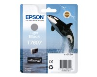 Epson - Cartuccia ink - Nero chiaro - T7607 - C13T76074010 - 25,9ml