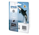 Epson - Cartuccia ink - Nero chiaro - T7607 - C13T76074010 - 25,9ml