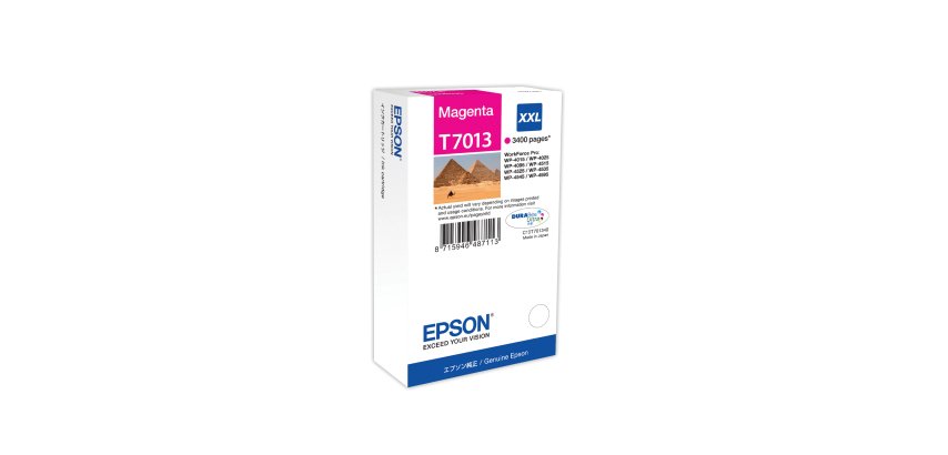 Epson - Tanica - Magenta - T7013 - C13T70134010 - 34,2ml