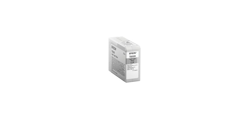 Epson - Cartuccia ink - Grigio - T8509 - C13T850900 - 80ml
