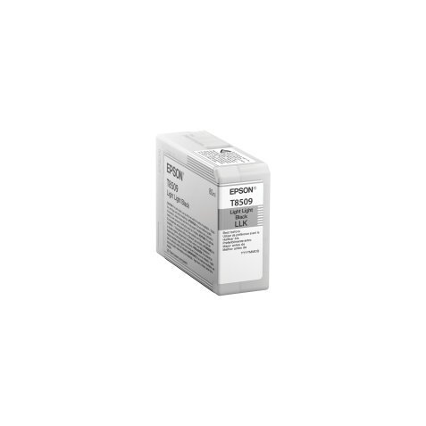 Epson Singlepack Light Light Black T850900