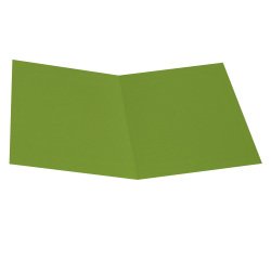 En_cartellina semplice - 200 gr - a4 - cartoncino