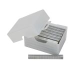 Agrafes 10 mm type G - boite de 5000 pièces