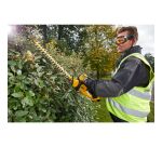 Taille-haies XR 18 V 5 Ah Li-ion - 1 batterie, chargeur