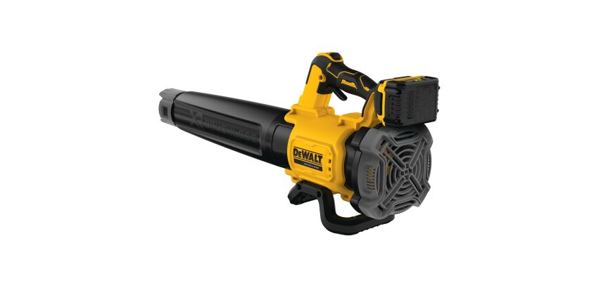 Souffleur XR 18 V 5 Ah Li-ion Brushless - 1 batterie, chargeur