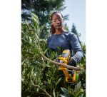 Sécateur XR 18 V 5 Ah Li-ion - 1 batterie, chargeur