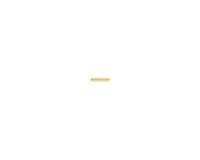 Pointes béton standard pour cloueur DCN890 2.6x15mm -1005pcs