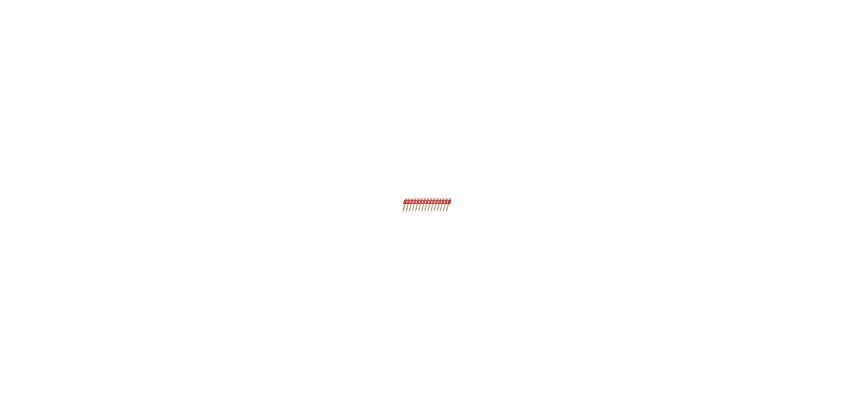 Pointes acier XH pour cloueur DCN890 3x43mm - 510 pcs