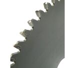 Lame pour scie circulaire plongeante DEWALT Extreme Workshop, 165 x 20 mm