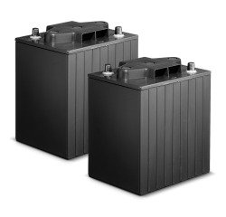 Kärcher - Lot de batteries AGM 2x 12V/198Ah, 24 V, 198 Ah, Sans entretien