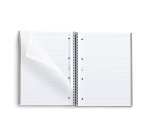 Notebook The Original, Couverture rigide, A4, lignes horizontales, 80 feuilles de 1 couleur, Miquelrius, Grafit.
