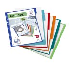 Intercalaires personnalisables A4+ polypropylène coloré Viquel 6 onglets multicolores