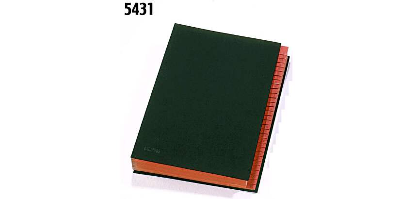 Trieur carte Extendos 31 divisions onglets numériques coloris noir