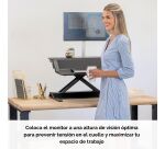 Brazo accesorio para estación de trabajo Sit-Stand Lotus™ Fellowes  individual