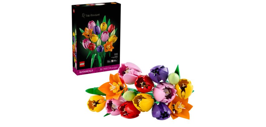Tulip Bouquet
