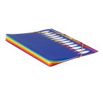 Trieur plastique à souffle HAPPY FLUO Viquel 12 compartiments - Format A4