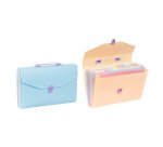 Trieur Valisette 12 compartiments A4 - Rainbow Pastel - Viquel - 38 x 25,5 x 6 cm