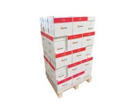 Papier Maestro Standard Plus A4 80gr - wegwerppallet van 200 pakken met 500 vellen