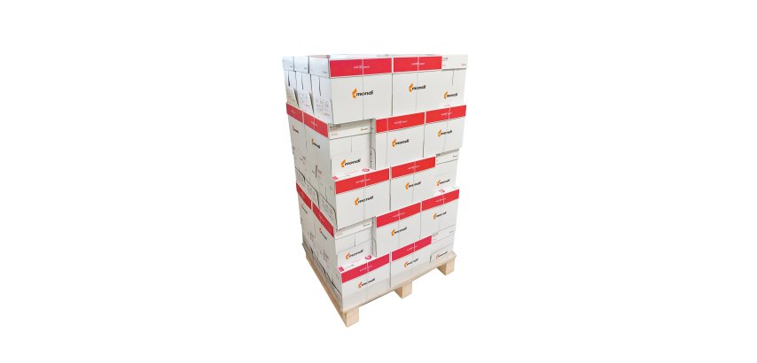 Papier Maestro Standard Plus A4 80gr - palette jetable de 200 ramettes de 500 feuilles