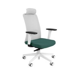 NICO WS HD white, SF2 Plus, R1